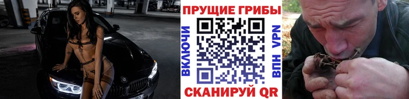 Галлюциногенные грибы прущие грибы  Багратионовск 